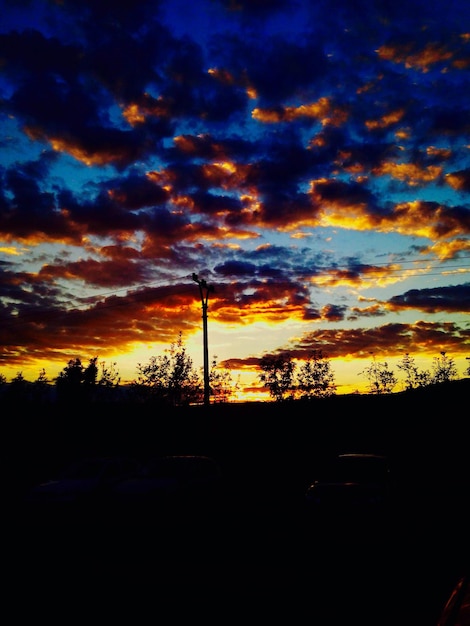 Photo silhouette d'arbres sur un ciel nuageux