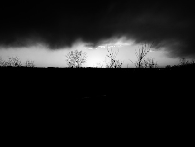 Photo silhouette d'arbres sur un ciel nuageux