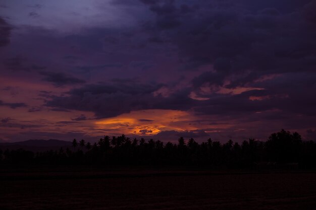 Photo silhouette d'arbres contre le ciel au coucher du soleil