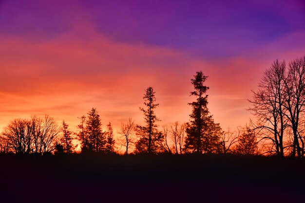 Photo silhouette d'arbres contre le ciel au coucher du soleil