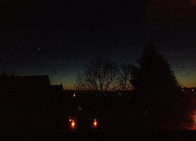 Photo silhouette d'arbres nus contre le ciel la nuit