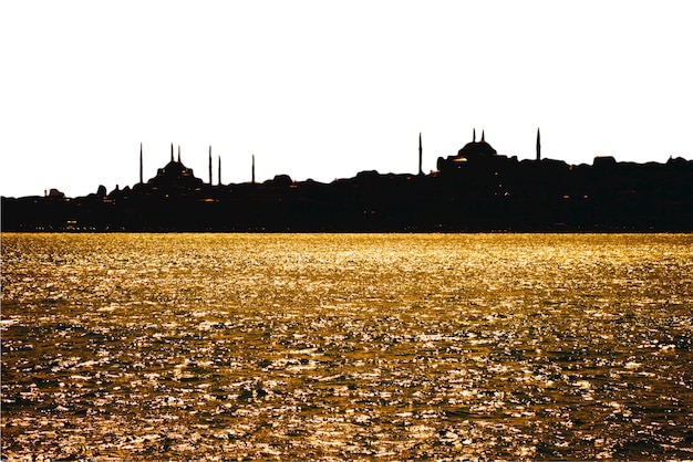 Silhouette d'une belle mosquée sur le fond blanc