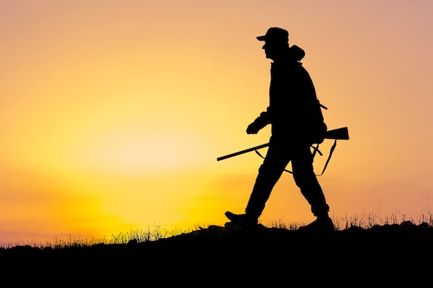 Silhouette d'un chasseur avec une arme à feu dans les roseaux contre le soleil, une embuscade pour les canards avec des chiens