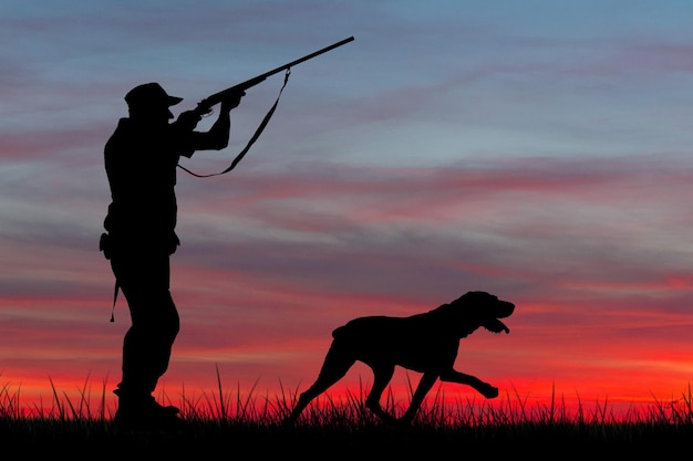 Silhouette d'un chasseur avec une arme à feu dans les roseaux contre le soleil une embuscade pour des canards avec des chiens