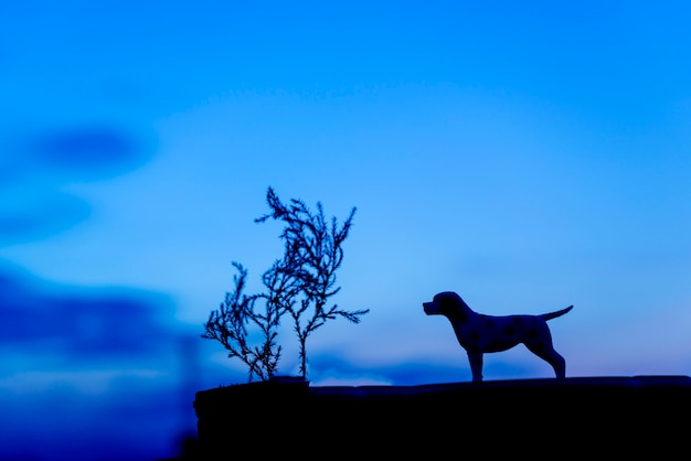 Photo silhouette de chien sur fond de coucher de soleil