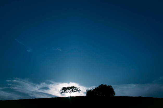 silhouette coucher de soleil