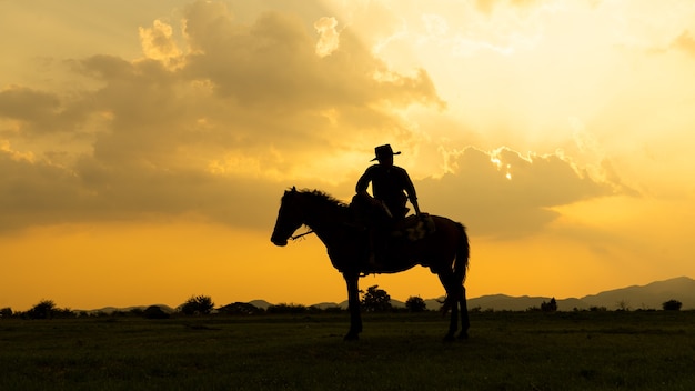 Silhouette de cow-boy à cheval contre un beau coucher de soleil