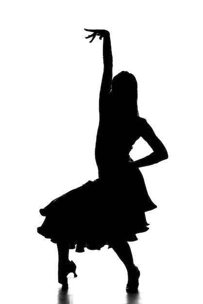 Photo silhouette de la danseuse latine en action.