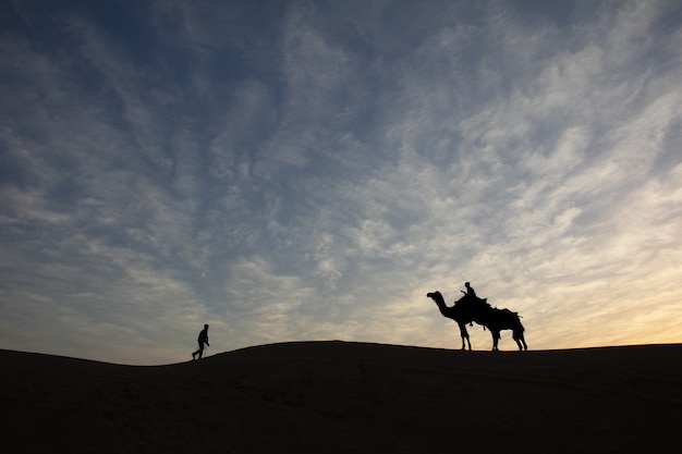 Silhouette de deux hommes et un chameau au coucher du soleil coloré dans le désert Rajasthan Inde