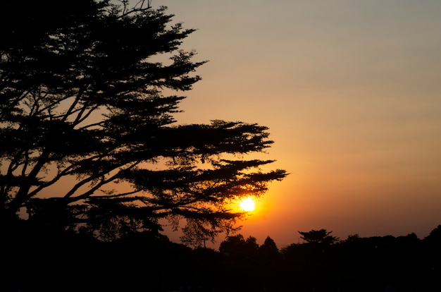 Silhouette du fond de coucher de soleil, modèle, floue