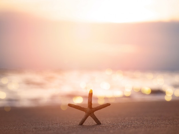 Silhouette étoile de mer sur le sable au coucher du soleil
