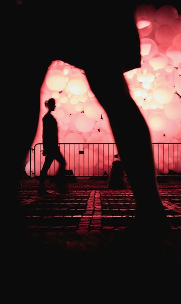 Photo silhouette de femmes au concert