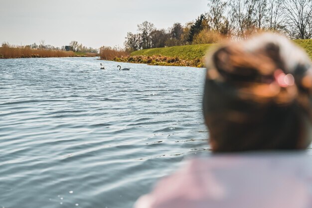 Silhouette d'une fille regardant des cygnes sauvages à l'extérieur par une journée ensoleillée de printemps