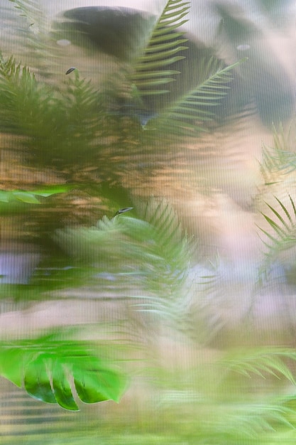 Photo silhouette floue de feuilles de palmier effet d'ombre derrière le verre défocalisé