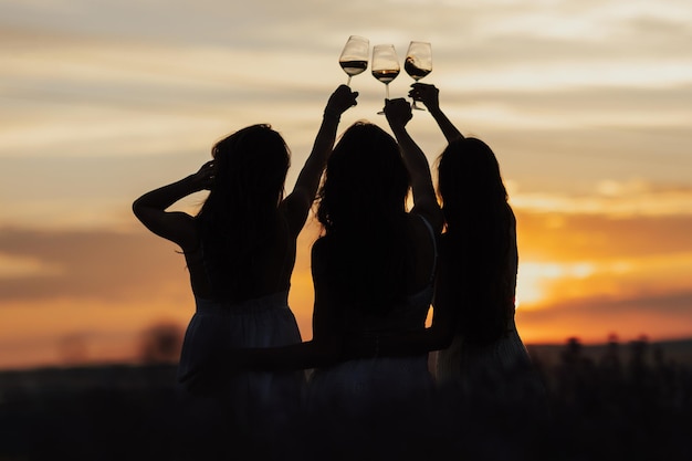 Silhouette de groupe de copines s'amusant tout en se reposant à un pique-nique