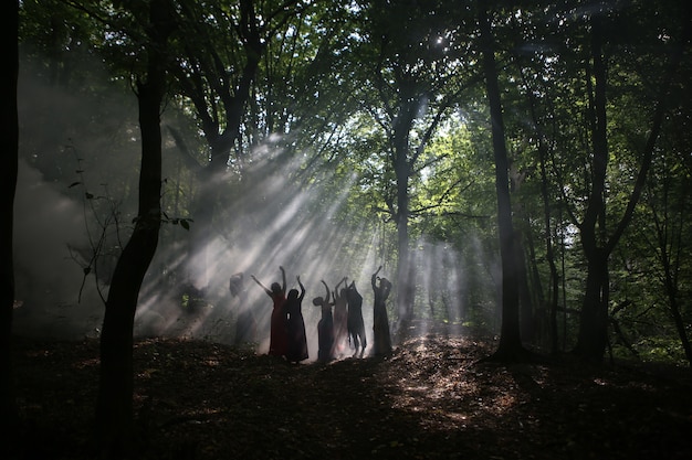 Photo silhouette d'un groupe de femmes dans une forêt sombre avec de la fumée