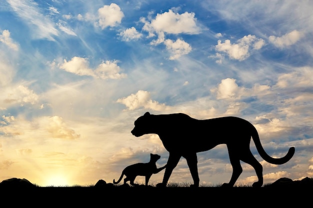 Silhouette d'un guépard et d'oursons contre le ciel du soir