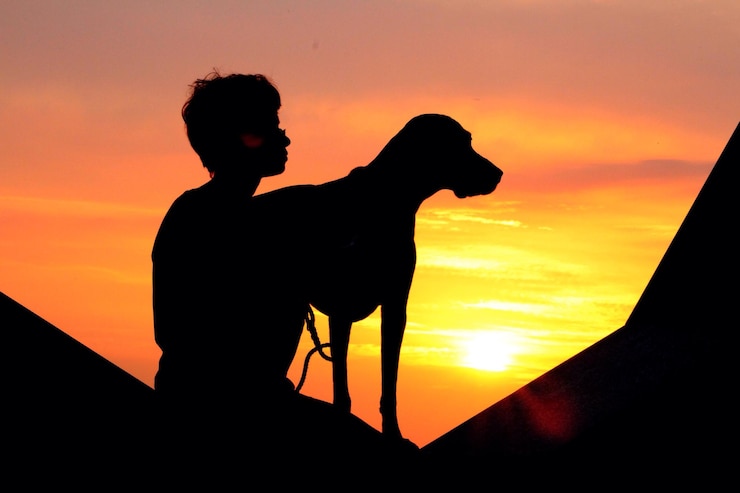 Photo silhouette d'homme et de chien contre un ciel orange au coucher du soleil