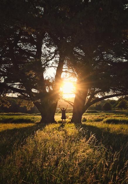 une silhouette d'homme debout entre deux énormes pins au coucher du soleil avec l'étoile du soleil