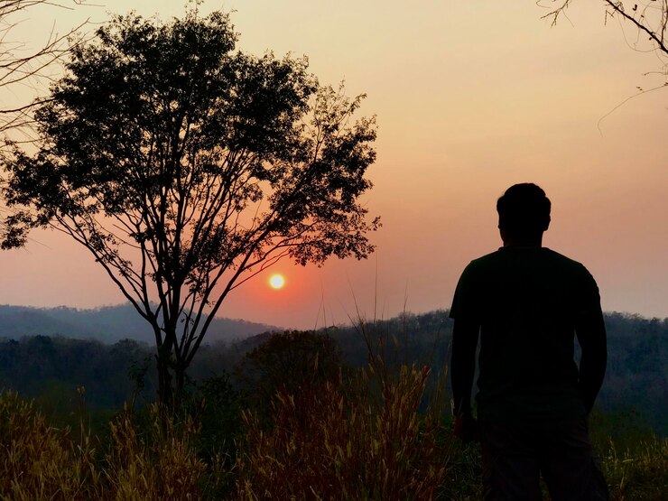Photo silhouette d'un homme debout près d'un arbre sur un champ contre le ciel au coucher du soleil