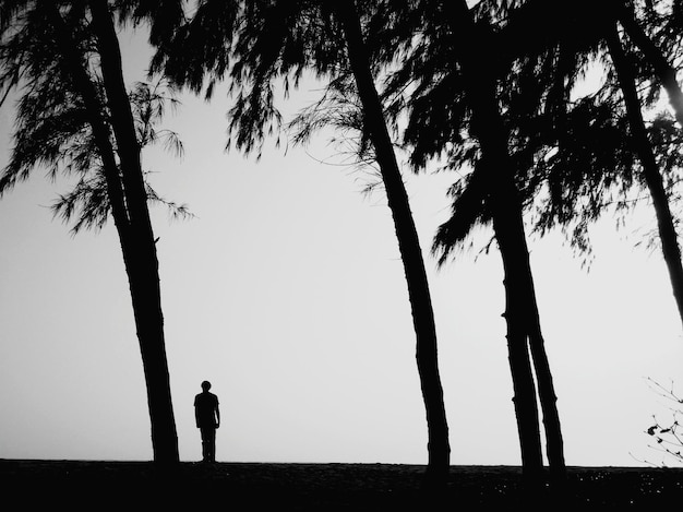 Photo silhouette d'un homme debout près d'un arbre