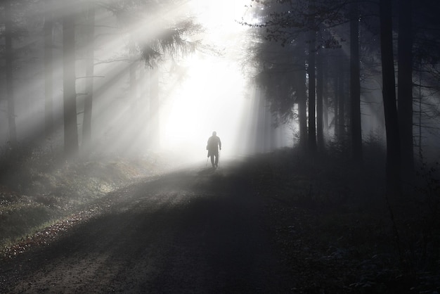 Silhouette d'un homme marchant sur un champ près des arbres dans la forêt