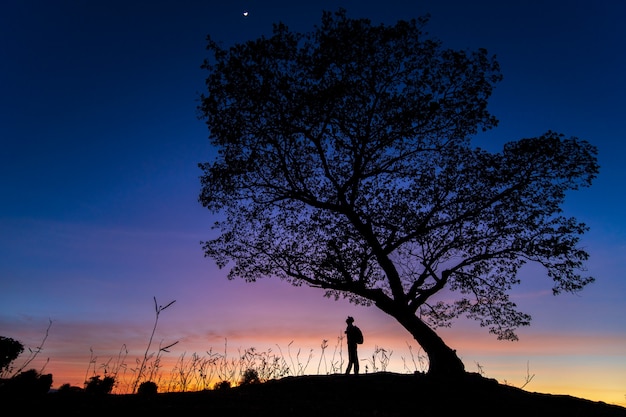 Silhouette un homme seul et un arbre pendant le coucher du soleil