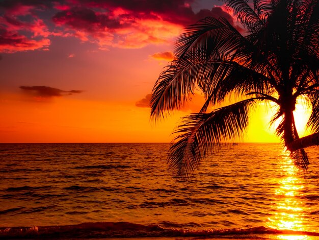 Photo silhouette d'un magnifique coucher de soleil sur la plage de la mer avec un palmier pour voyager en temps de détente de vacances comme l'été