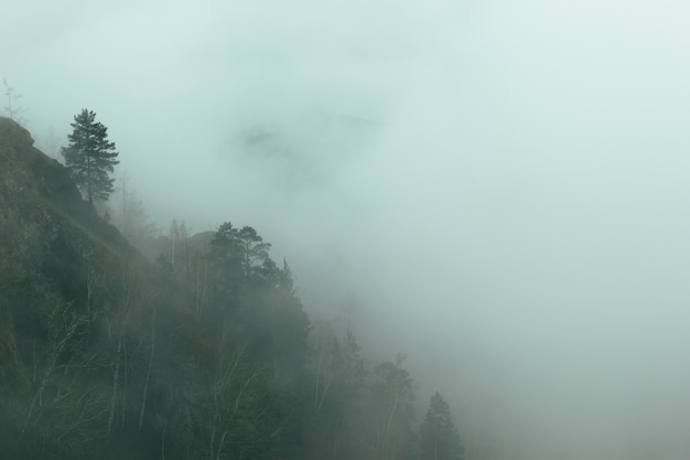 Silhouette de la montagne dans le brouillard