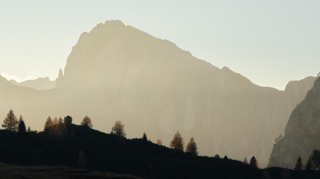 Photo silhouette de montagne avec des laris dorés au premier plan pris pendant le coucher de soleil doré dolomites italie