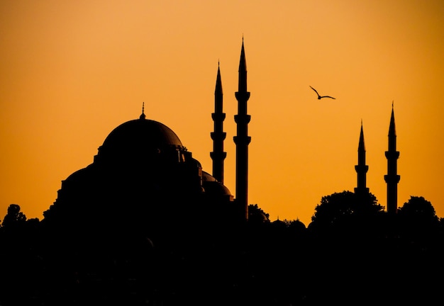 Silhouette de la mosquée Suleymaniye au coucher du soleil