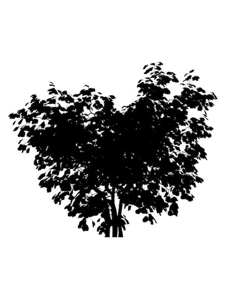 Silhouette noire de l'icône d'arbre à feuilles caduques isolé sur fond blanc