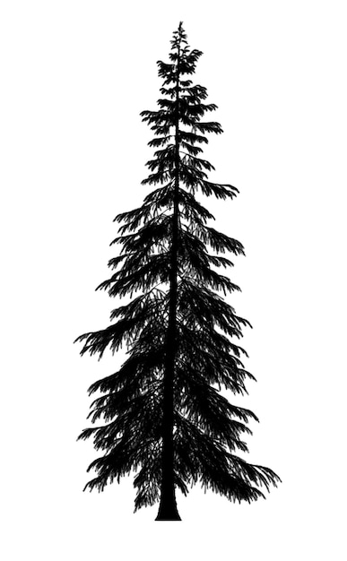 Silhouette noire de l'icône de l'arbre de Noël pin isolé sur fond blanc