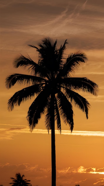 Silhouette numérique d'un palmier sur un ciel au coucher du soleil orange scène tropicale papier peint vertical mobile