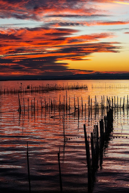 Silhouette d'oiseaux debout sur des poteaux au crépuscule dans l'Albufera à Valence, une lagune d'eau douce et un estuaire dans l'Est de l'Espagne.