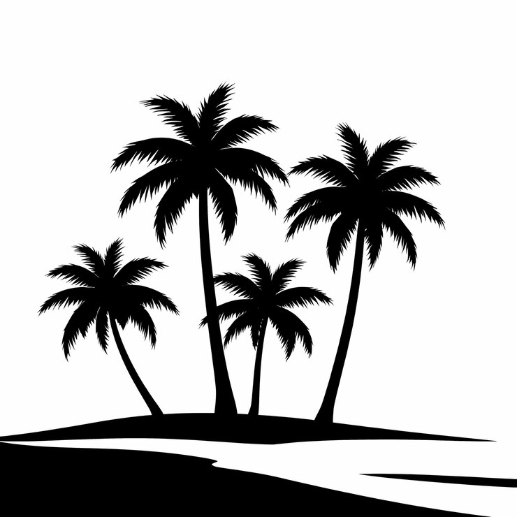 Photo silhouette de palmiers sur une île