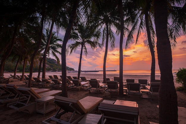 Silhouette de palmiers et lits de plage au coucher du soleil sur la plage paradisiaque de Las Terrenas, noix de coco