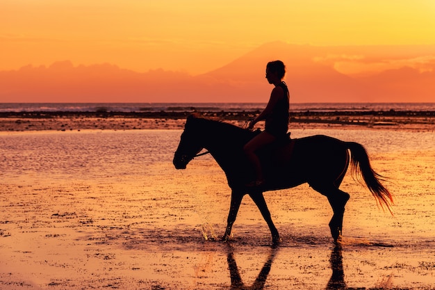 Silhouette de personne à cheval sur la plage