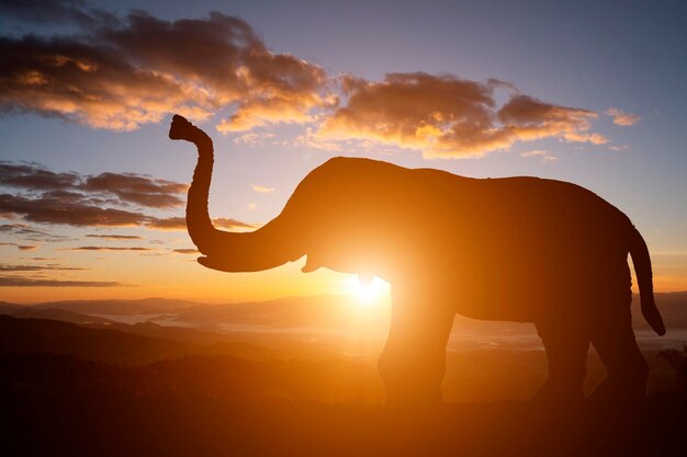 Photo silhouette d'une personne debout contre le ciel au coucher du soleil