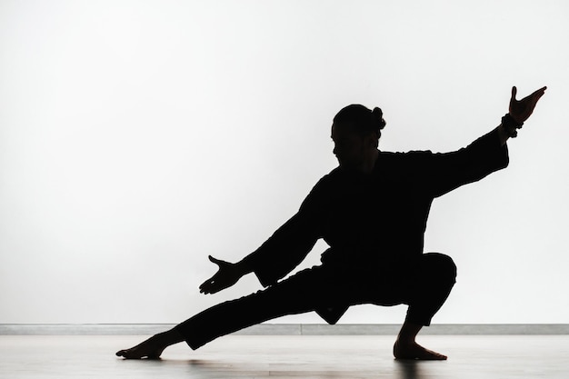 Silhouette d'une personne pratiquant des exercices d'énergie qigong sur fond clair