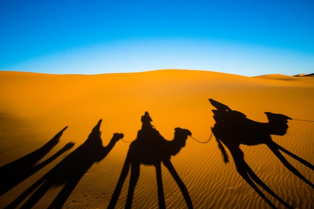 Silhouette de personnes à cheval dans le désert contre le ciel au coucher du soleil