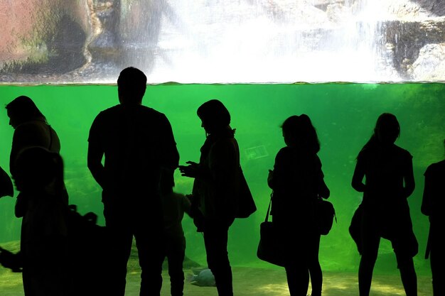 Silhouette de personnes debout dans un aquarium