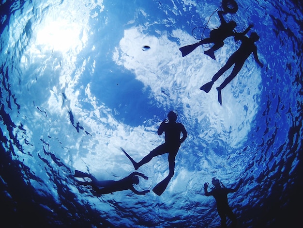 Photo silhouette d'un poisson nageant dans la mer