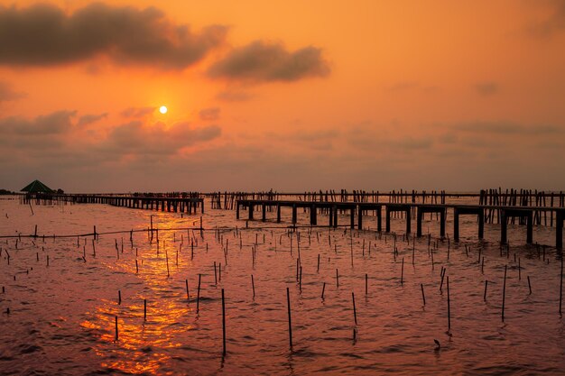 Silhouette de pont le long de la côte de la mer et beau fond de lever de soleil avec mytilicultureSilhou
