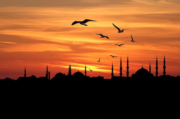 Silhouette de la ville d'Istanbul contre le coucher du soleil