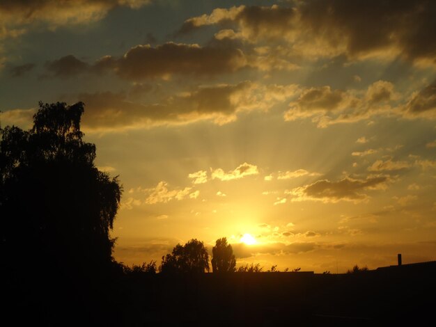 Photo silhouettes d'arbres sur le champ contre le ciel au coucher du soleil