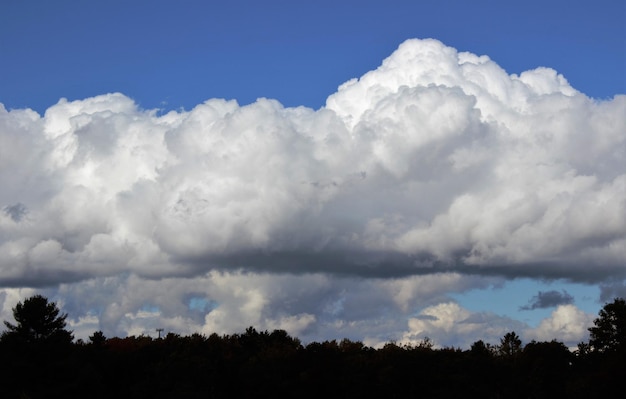 Photo des silhouettes d'arbres sur un ciel nuageux