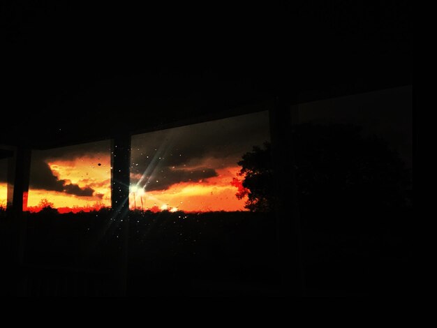 Photo des silhouettes d'arbres contre le ciel la nuit
