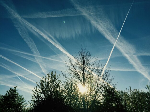 Des silhouettes d'arbres contre des traces de vapeur dans le ciel