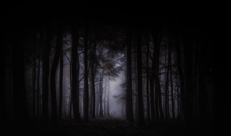Photo silhouettes d'arbres dans la forêt contre le ciel la nuit